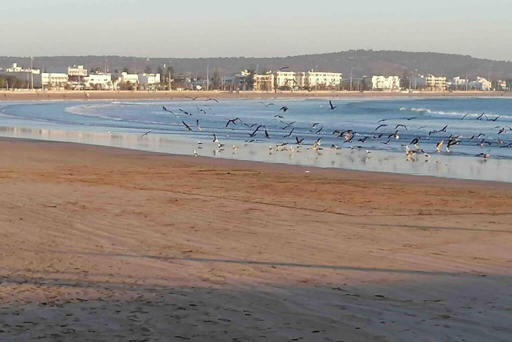 Darsal-Bwindi, Pour Tomber Amoureux D'Essaouira ! Villa ภายนอก รูปภาพ