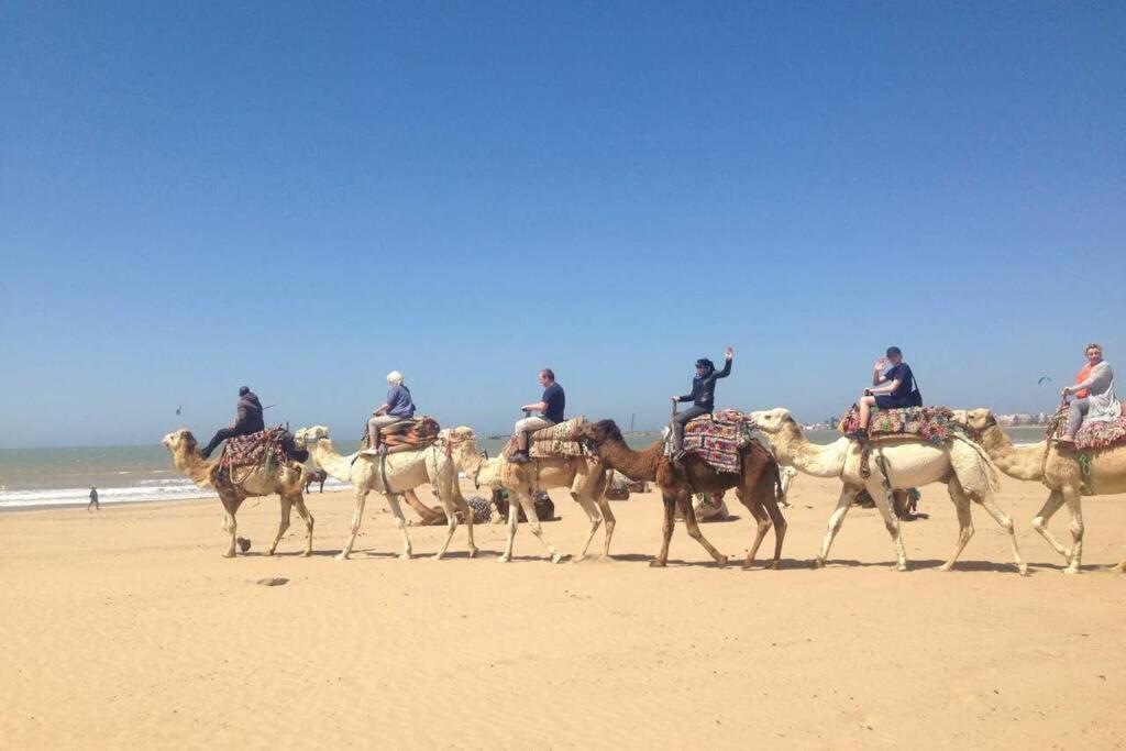 Darsal-Bwindi, Pour Tomber Amoureux D'Essaouira ! Villa ภายนอก รูปภาพ